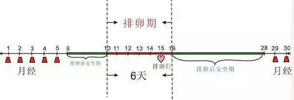 女性最佳受孕的时间,不是早晨也不是晚上?把握好这个时间段