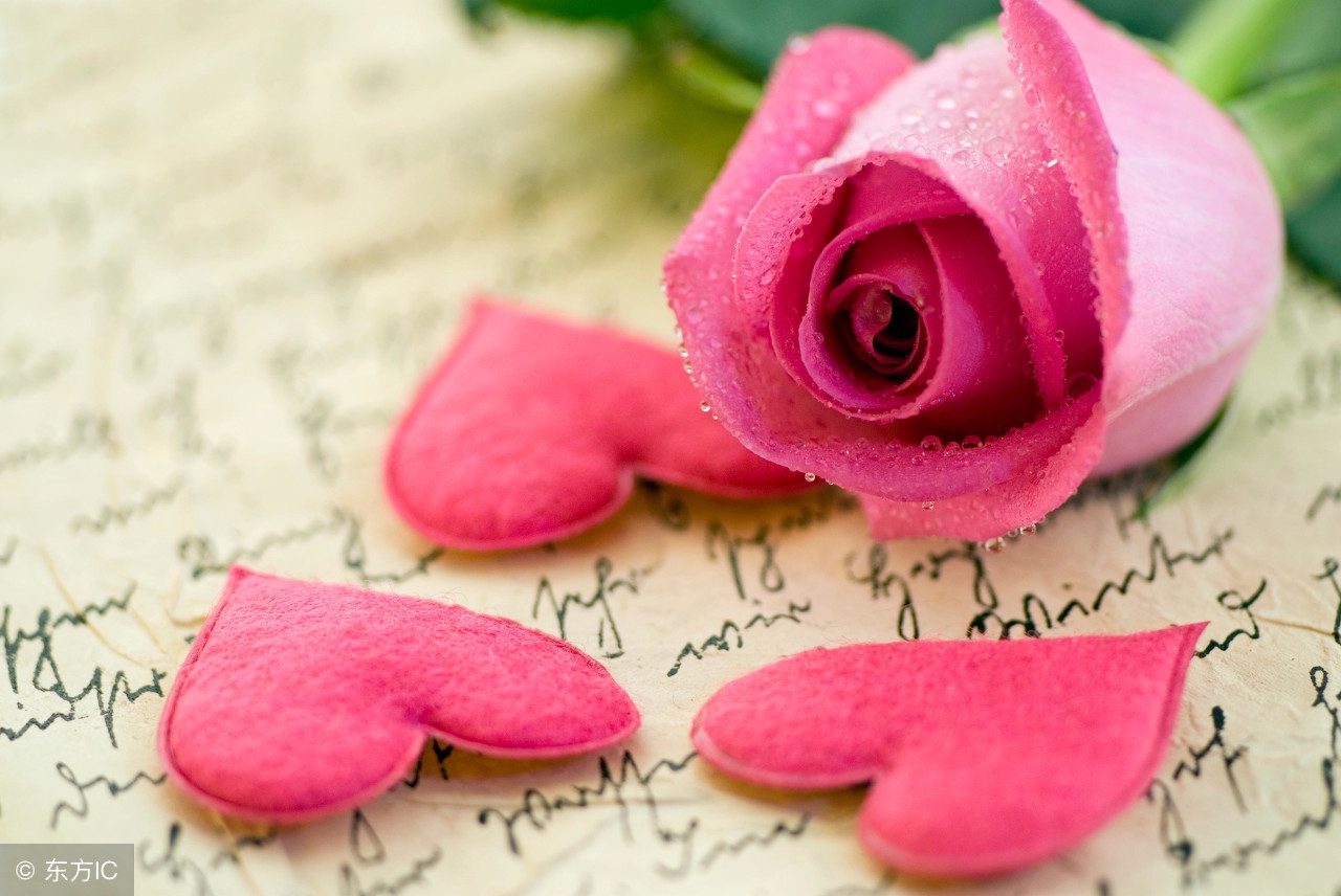 生活的本质是让我们快乐轻松,生活的意义在于创造回忆