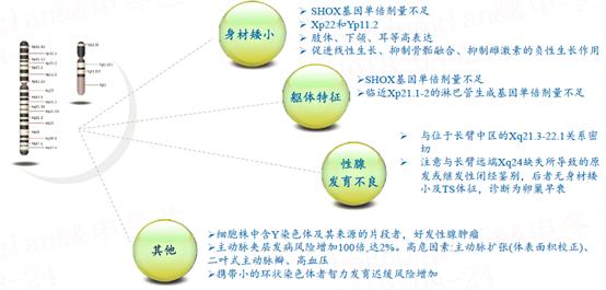 怎么规避turner综合征,turner综合征吃什么