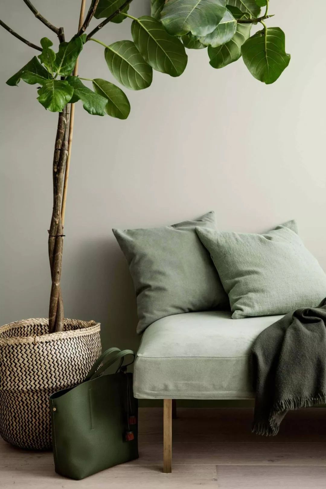 转发锦鲤真的能带来好运吗,转发锦鲤为什么受欢迎