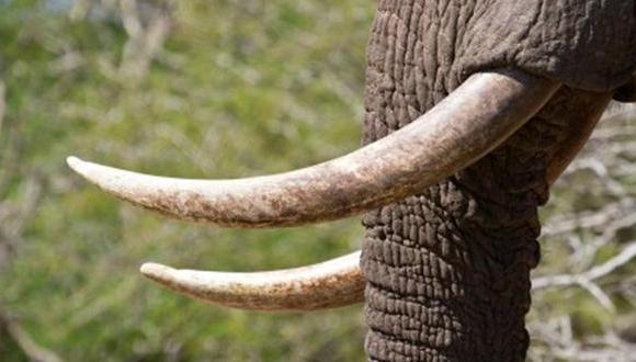 这十种文玩买了就是被坑了,十大必死无疑的文玩