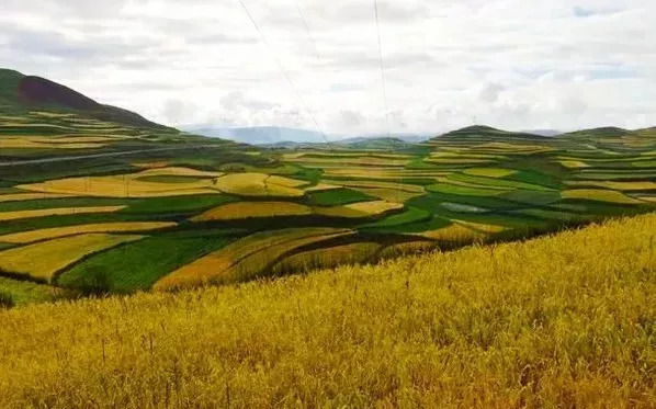 秋天甘南旅游攻略,看甘南草原风光