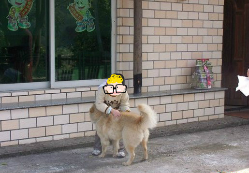 从小养的土狗会咬人吗,小土狗突然咬人