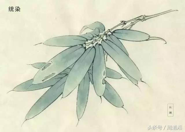 荷叶工笔画用什么方法渲染,工笔画渲染视频教程花卉