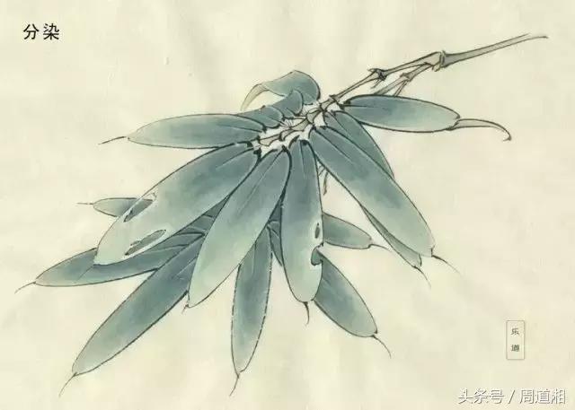 荷叶工笔画用什么方法渲染,工笔画渲染视频教程花卉