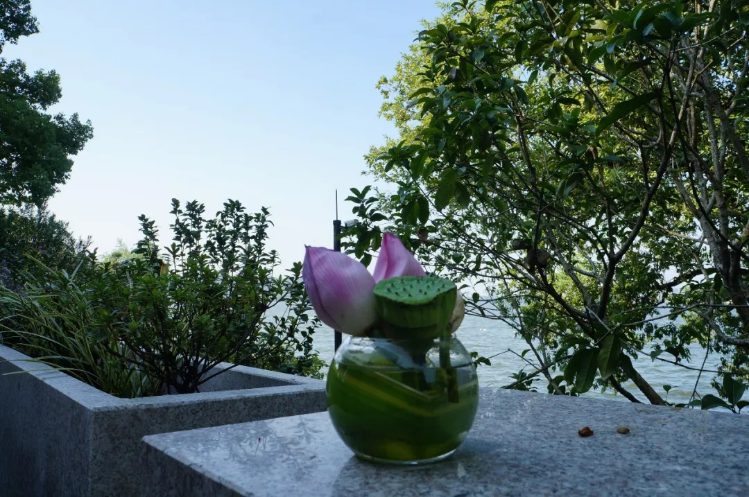 杭州西湖西子宾馆地址,杭州西子宾馆位置图