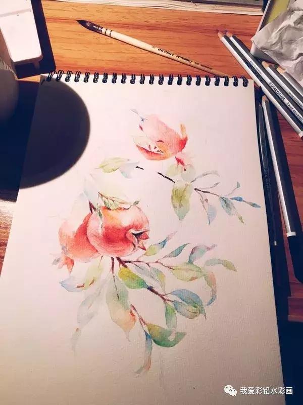 水彩入门小教程,水彩入门有什么推荐或注意事项吗