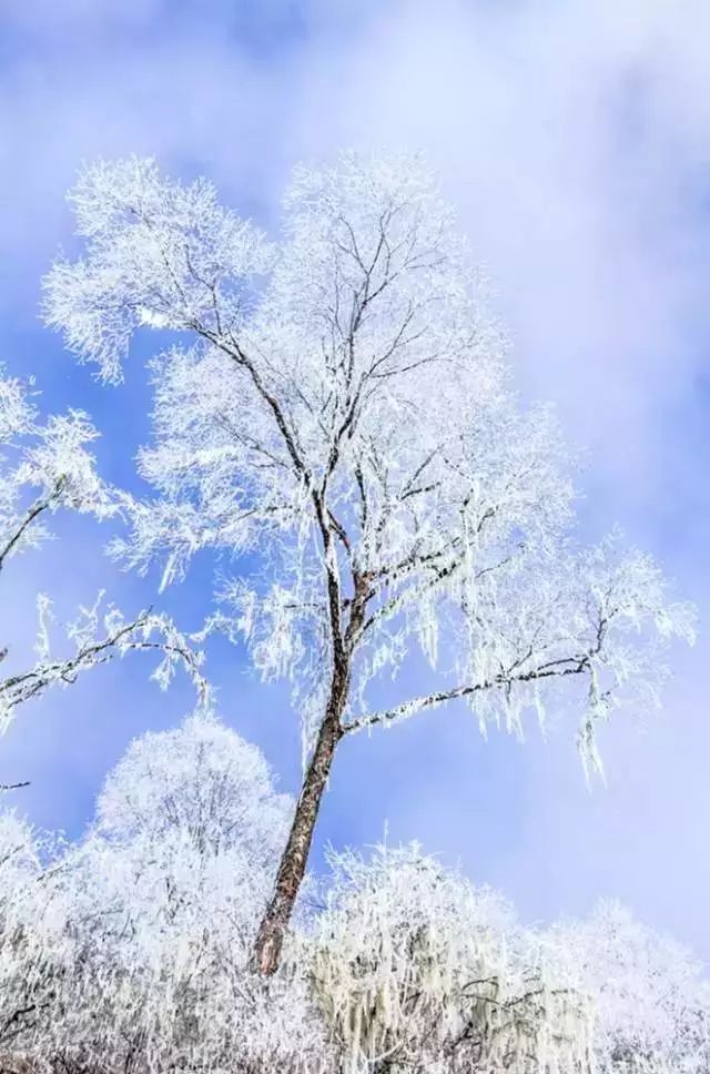 川西不次于牛背山的观景平台,比牛背山更近的贡嘎观景平台