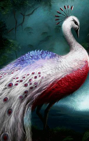 七九届同学四十年聚会通知,年底团年同学聚会简短通知