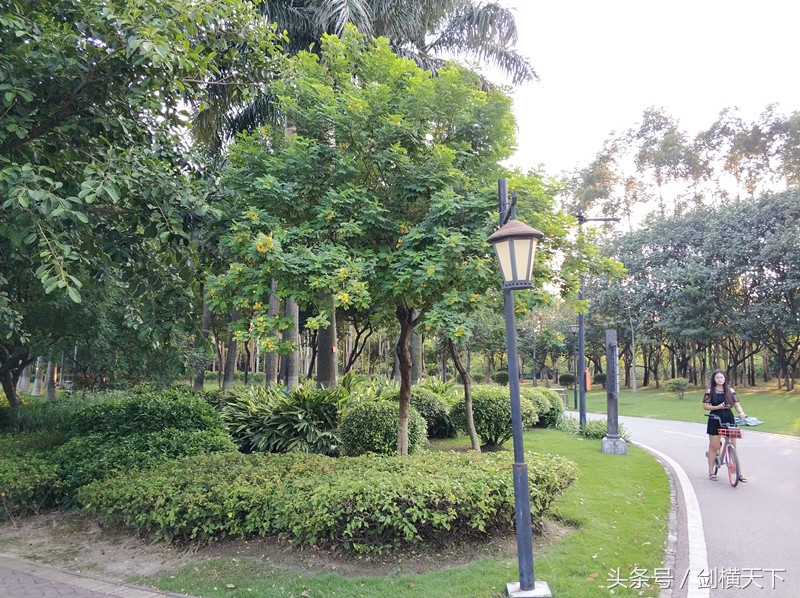 白云湖公园徒步,白云湖公园攻略最近