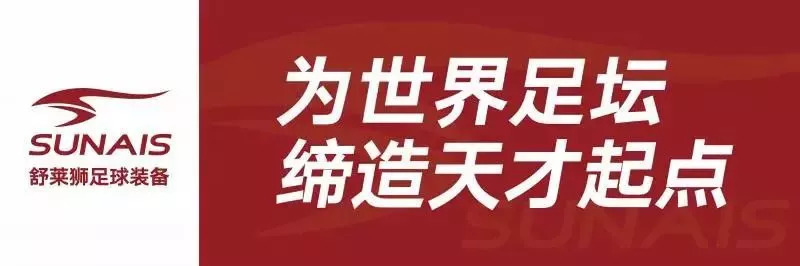 舒莱狮足球马甲,舒莱狮足球球衣定制