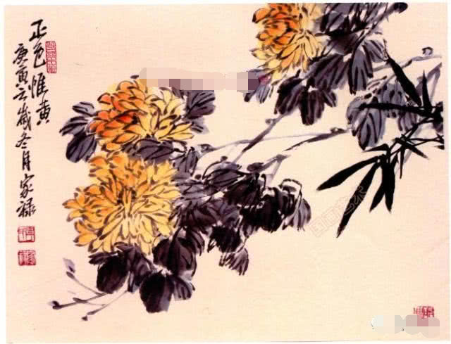 国画小写意菊花花头的画法,菊花国画写意画法视频