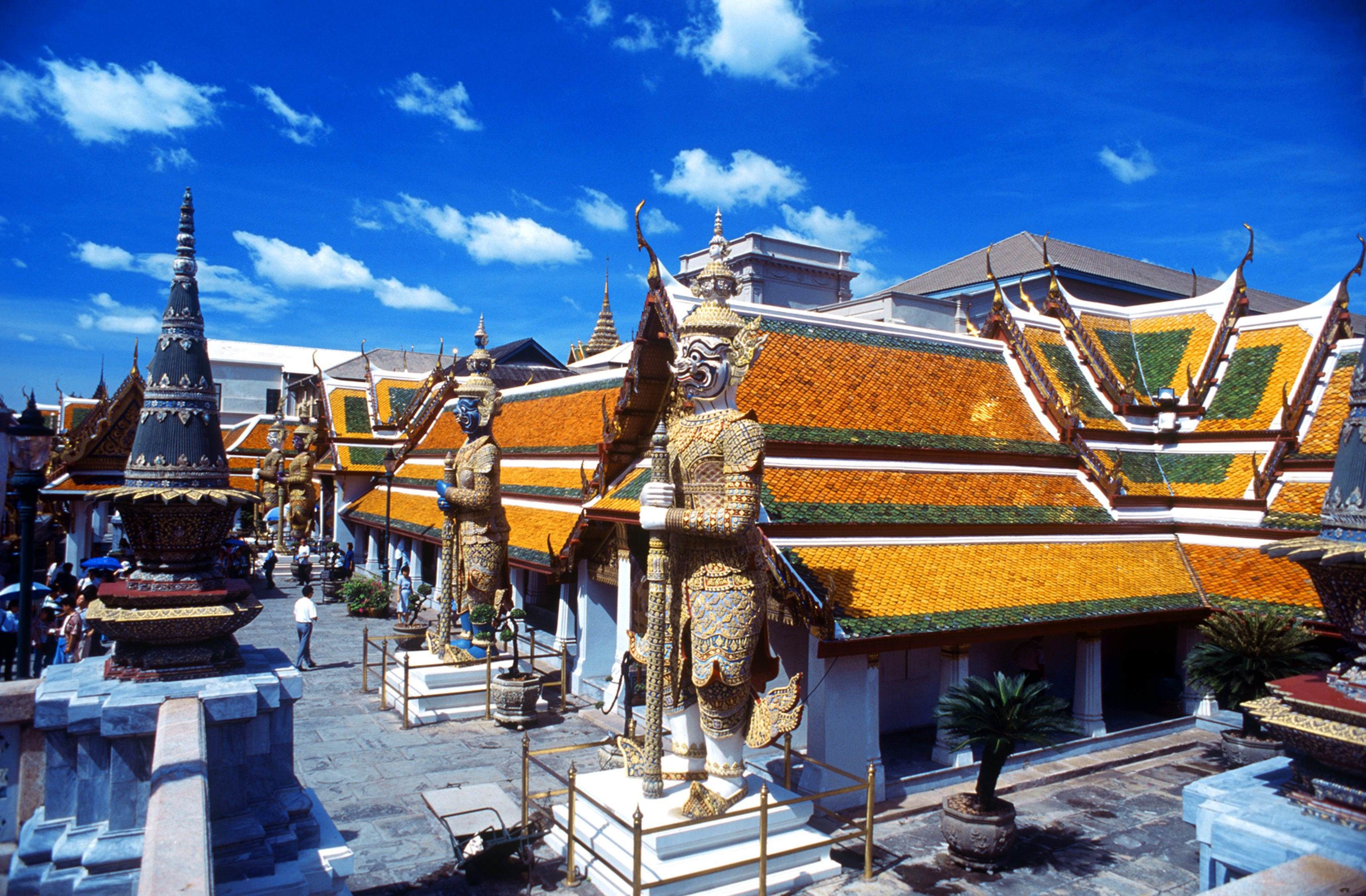 女网红被骗去东南亚,女网红去泰国旅游事件