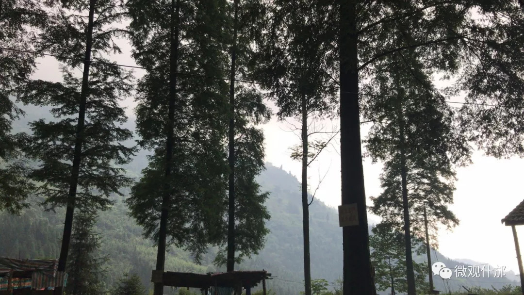 未来什邡发展,德阳市对什邡未来的发展