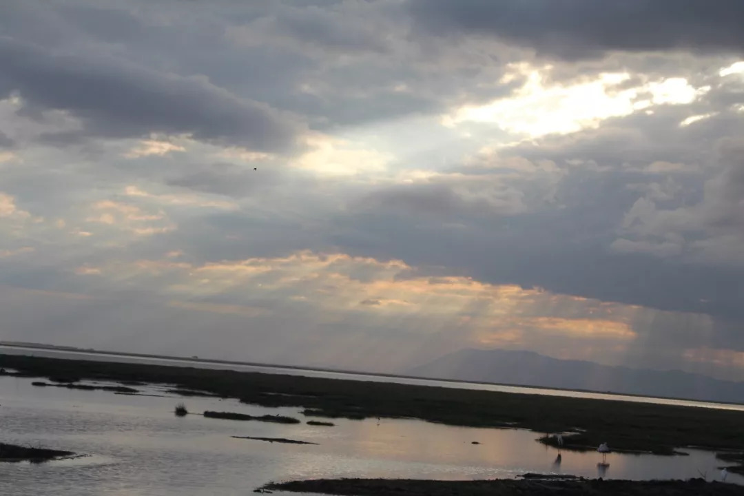 肯尼亚│我没有错过非洲，错过动物大迁徙