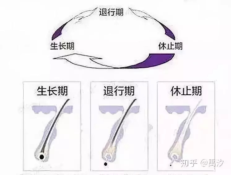 年轻人你为什么一身戾气,年轻人你为什么不想结婚