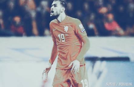 郁金香什么时候绽放,郁金香凋零