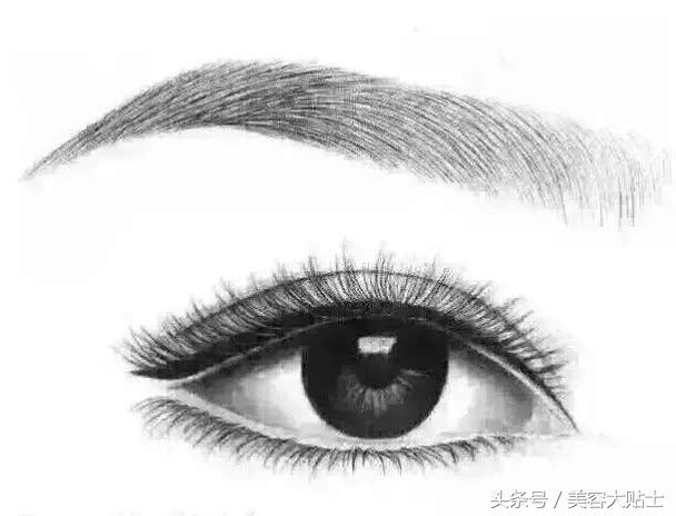 骨相明显的人怎么画眉毛,怎么才能知道什么眉形最适合你