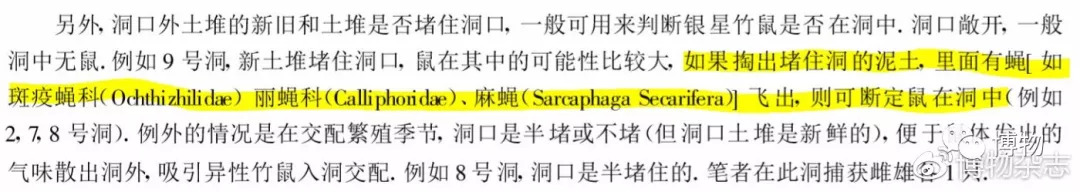 华农兄弟的竹鼠为什么总是中暑,竹鼠中暑有什么表现