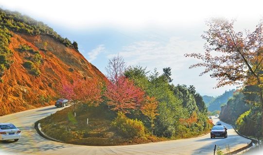 云南乡村振兴示范村建设政策,云南省四好农村路指导意见