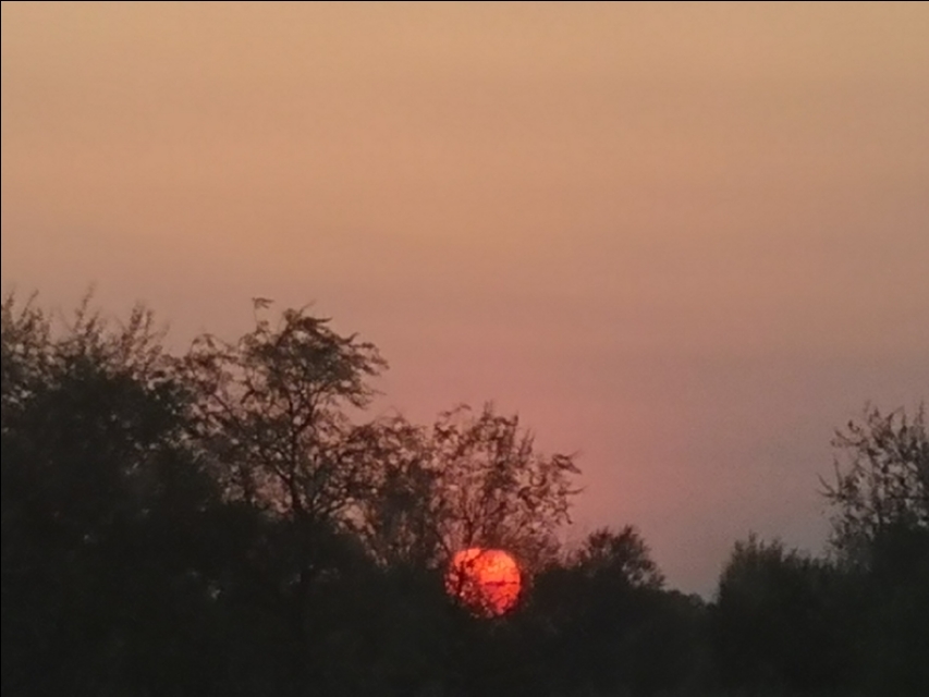 80岁以上雕塑大师曹春生,曹春生雕塑大师视频