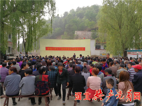 选优配强党支部书记措施,专业化管理的村党组织书记选拔