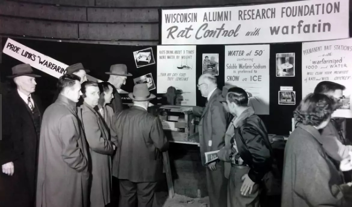 老鼠药差点毒死全村,老鼠药毒不死人