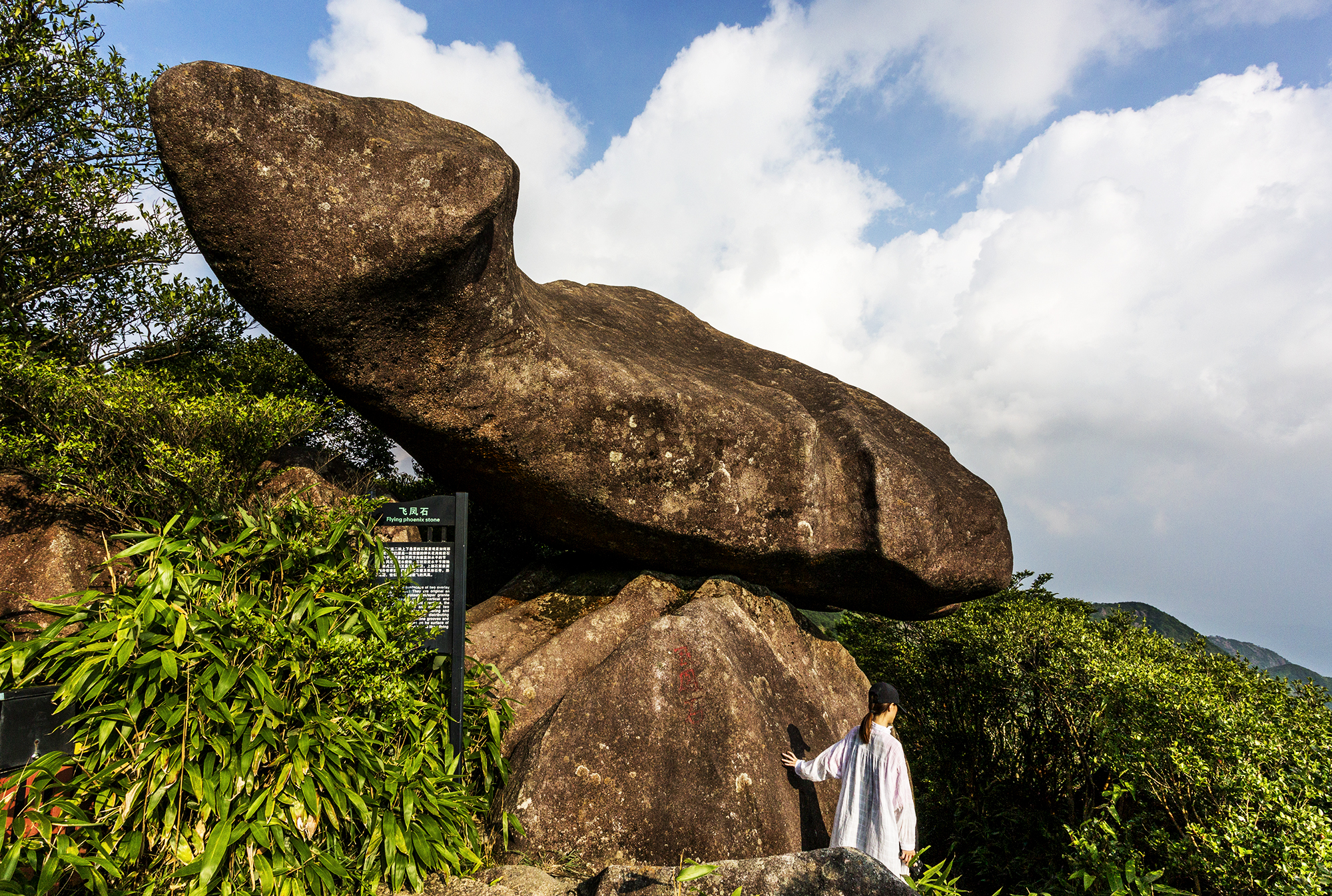 太有趣，一座山竟像一头卯足劲的牛