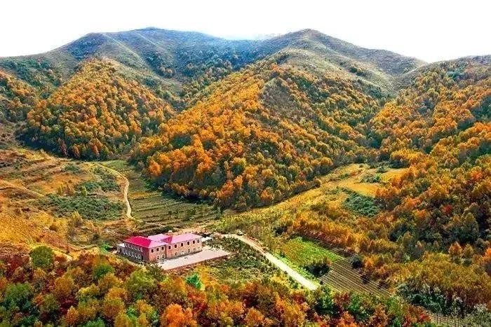 国内最美的十大海滨城市,国内最撩人的20个金秋童话