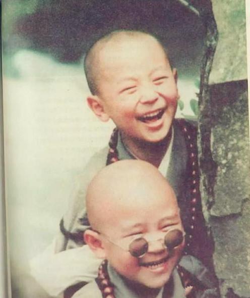 阿尔法小童星,曾经那个小童星阿尔法现在怎么样