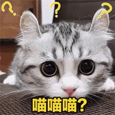 林允张雨绮,林允推荐的护肤水