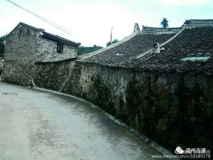 八百载风雨——大茶山