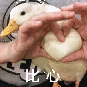 紫轩子轩梓萱打架原版,紫萱紫轩名字怎么样