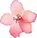 粉底液和bb霜区别与选择色号对比 (粉底液粉霜粉膏哪个更适合混油皮)