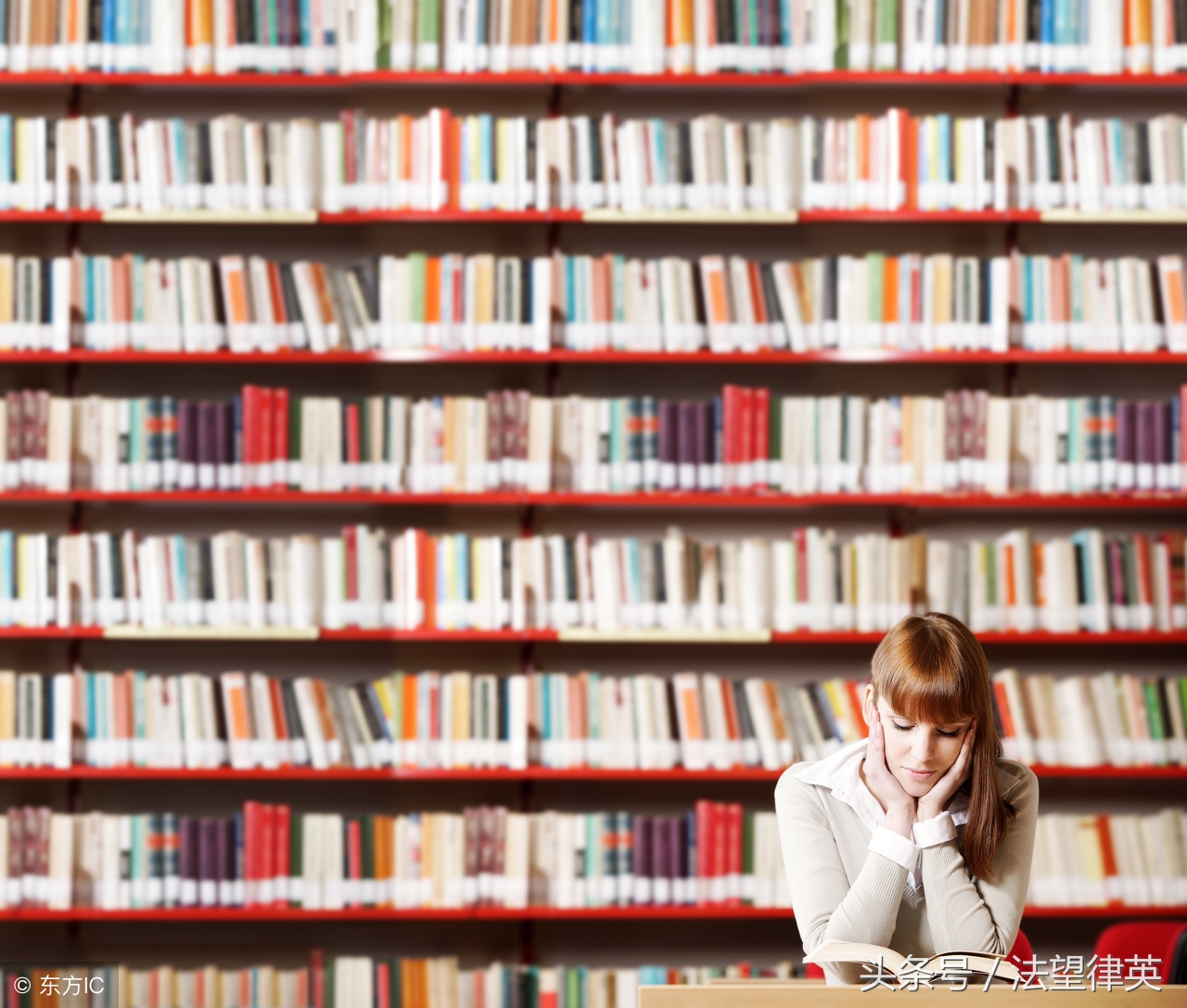 回忆起旧时逛书店快乐的时光,回忆曾经看过的书