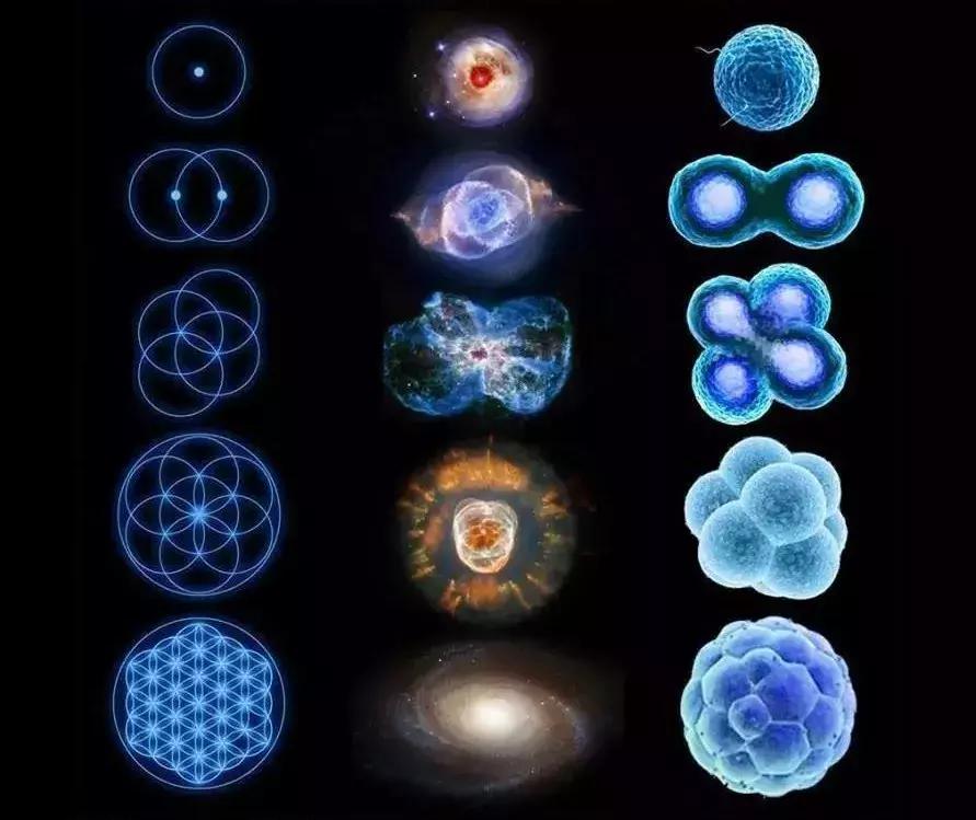 绁炲湥鍑犱綍璁茶В瑙嗛,绁炲湥鍑犱綍濡備綍杩愮敤