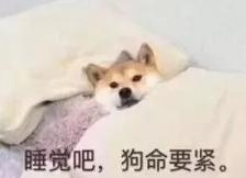 补水营养品,补水补血吃什么最好最快