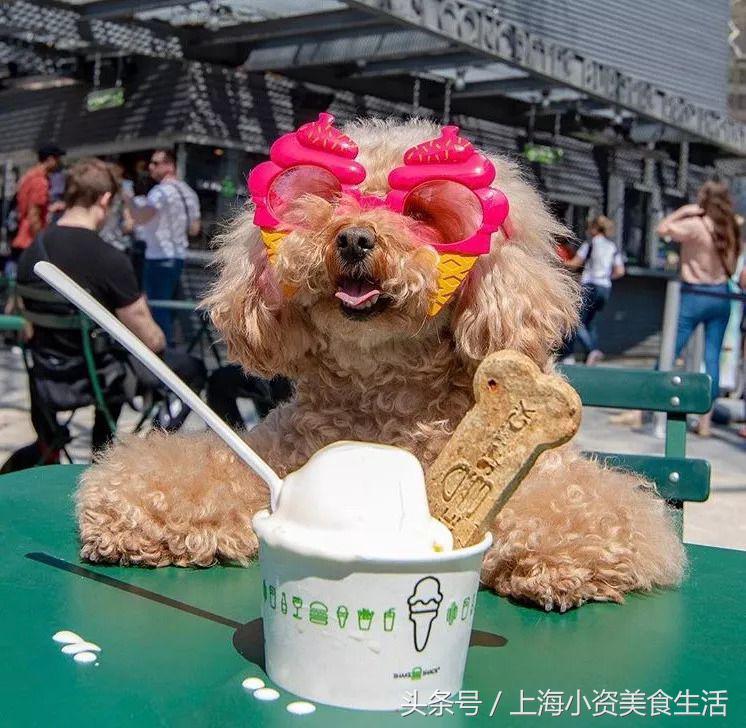 In-N-Out、RedLobster等20家餐饮网红拟登魔都，吃货们忍不住！