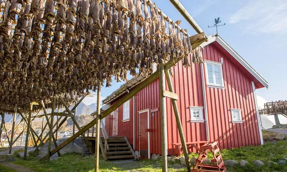 小木屋，玻璃顶，火山温泉，住这些酒店，get最cool极光姿势