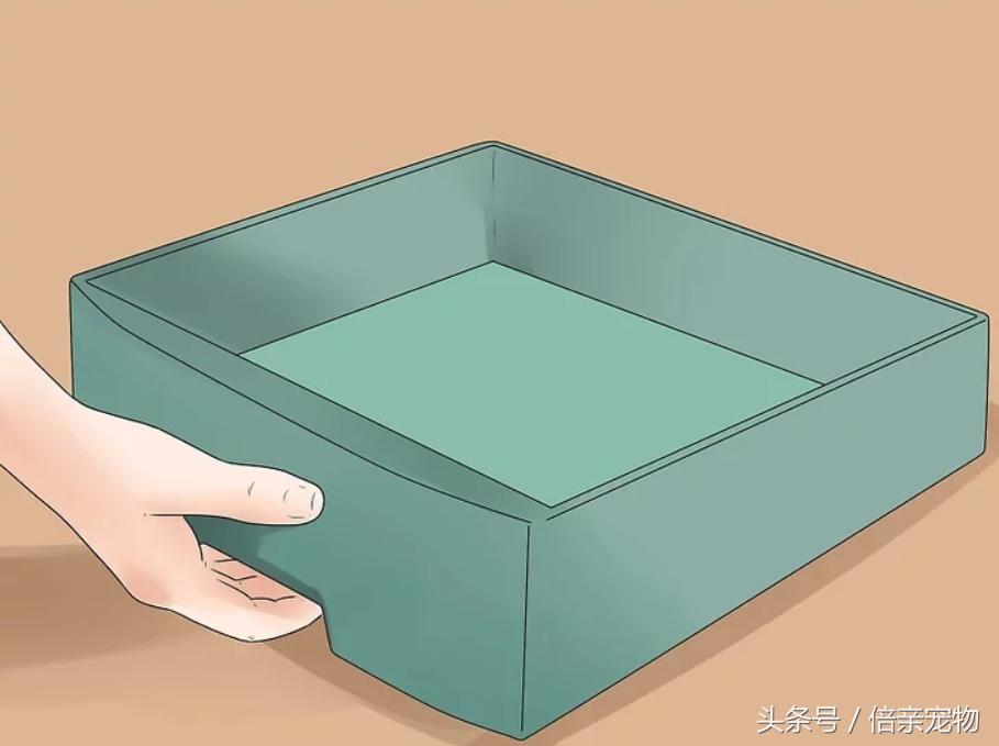 怎样锻炼猫咪使用猫砂盆,怎样训练猫咪用猫砂盆