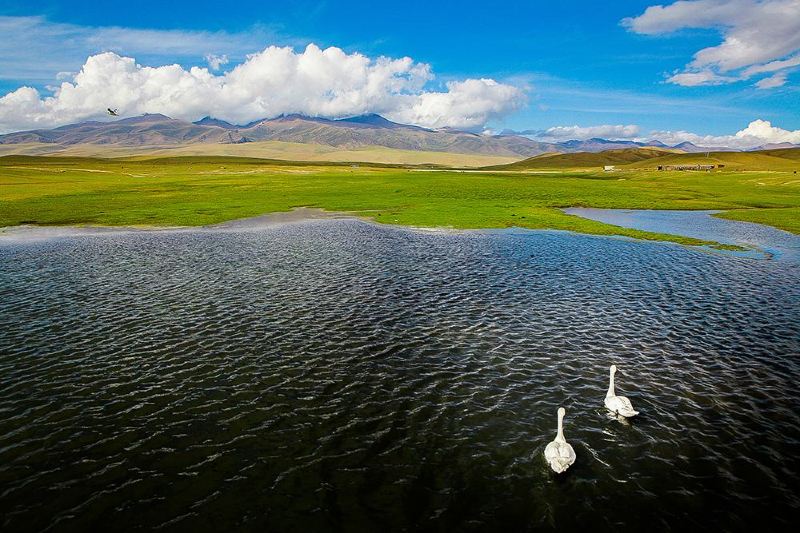 北疆环线10日游最新,北疆环线10日游旅游团