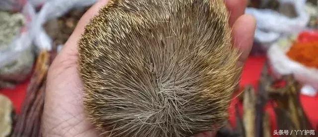 中药900味图解,一副中药30多味药是大方子吗