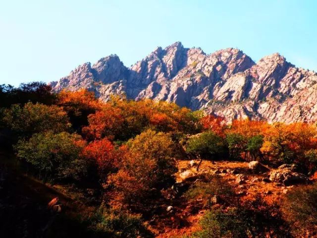 呼和浩特看秋景去哪里玩,呼和浩特秋景打卡地