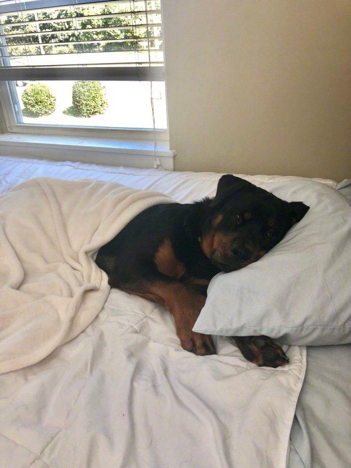 男生给爸爸做饭,最幸福的事做饭给父母吃