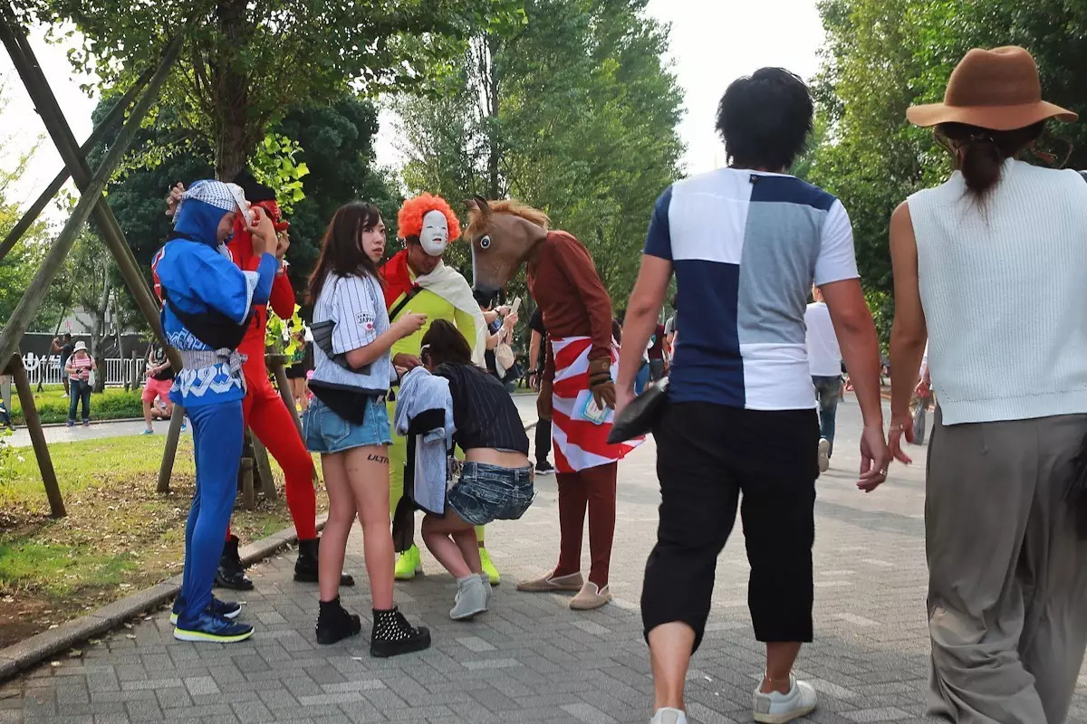 日本东京京都游记,生活在别处苏晴小说