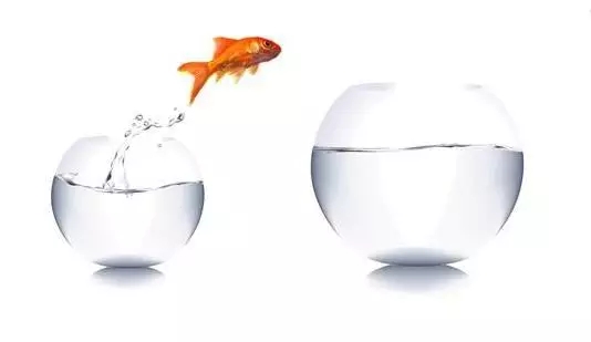 鱼跳缸是什么原因,鱼儿跳起来是什么原因