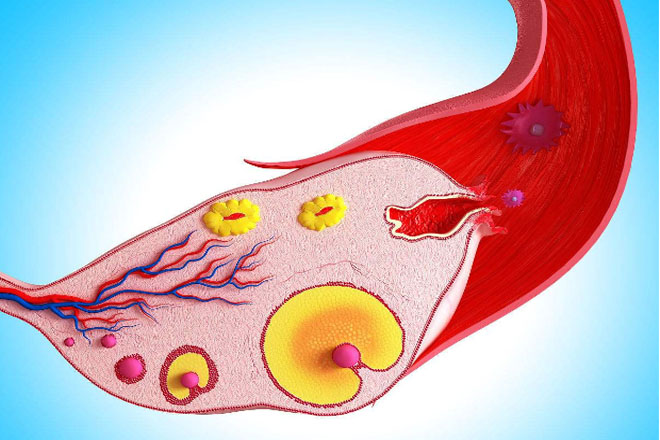 容易导致宫外孕的五种原因,哪些人更容易出现宫外孕