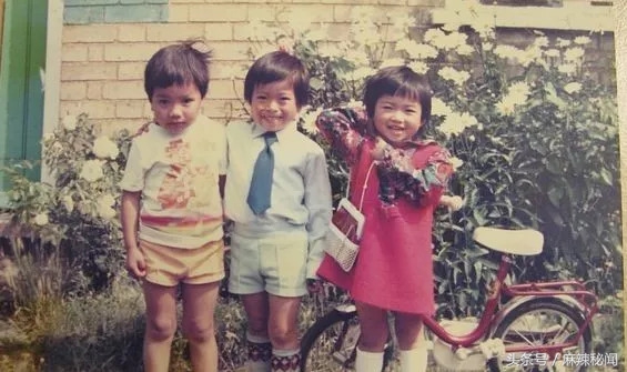 华人在越南心酸历史,被越南驱逐的华人流落在荒岛