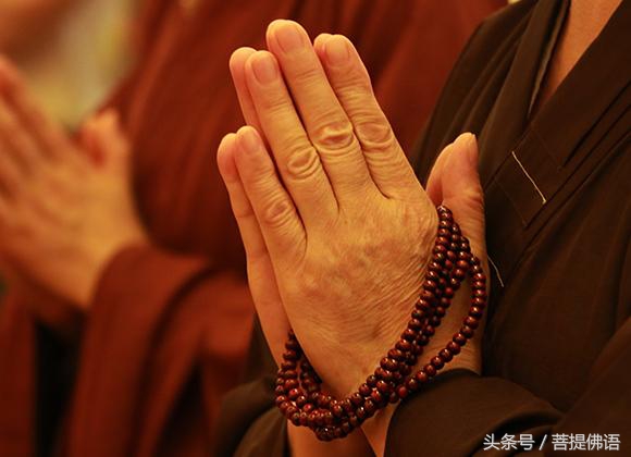 李嘉诚我是个纯粹的商人,李嘉诚我是大明星