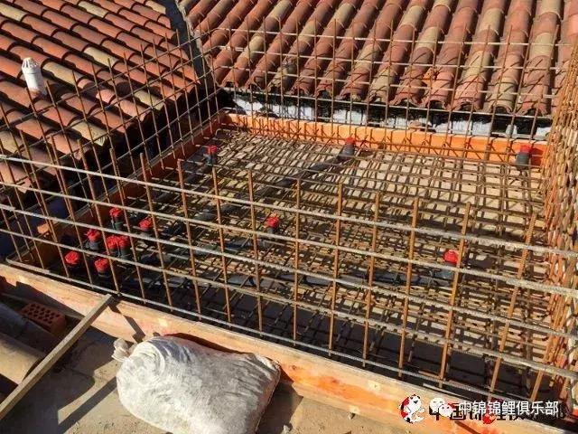 楼顶鱼池有哪些,屋顶鱼池的建造方法